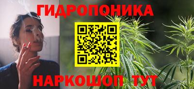 мяу мяу мука Малгобек
