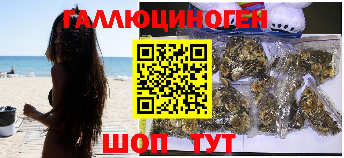 Галлюциногенные грибы GOLDEN TEACHER Армавир