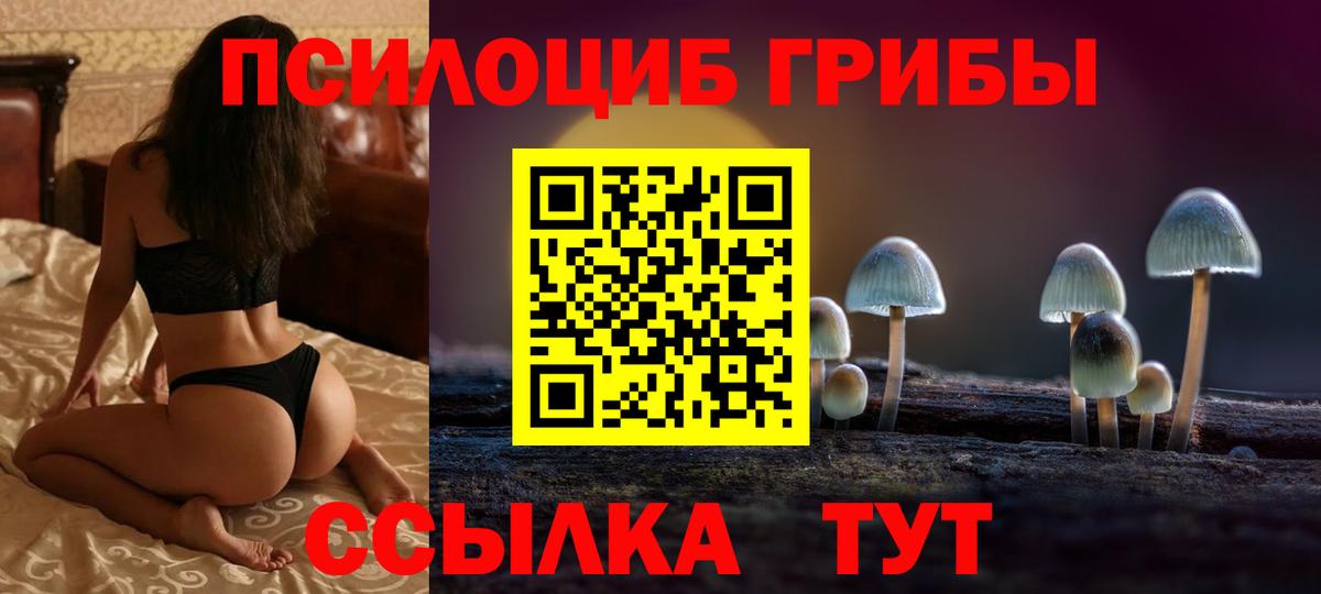 Псилоцибиновые грибы GOLDEN TEACHER  Вход с VPN  Армавир 